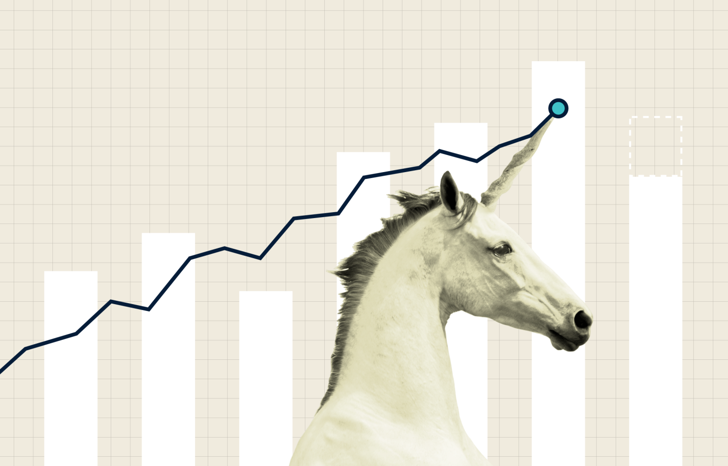 One person $1 billion company - solo unicorn